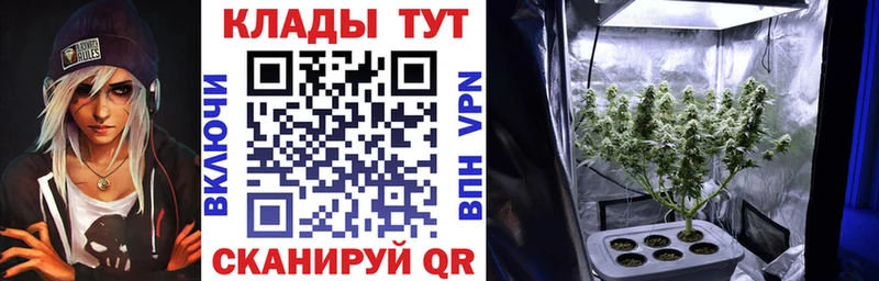 Где купить Петушки Гашиш  Каннабис  COCAIN  Амфетамин  Меф  A-PVP 
