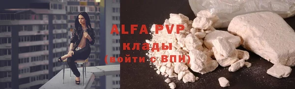 стаф Алексин