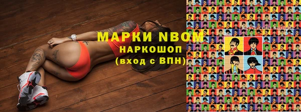 стаф Алексин