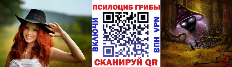 где купить   кракен зеркало  Псилоцибиновые грибы Cubensis  Петушки 